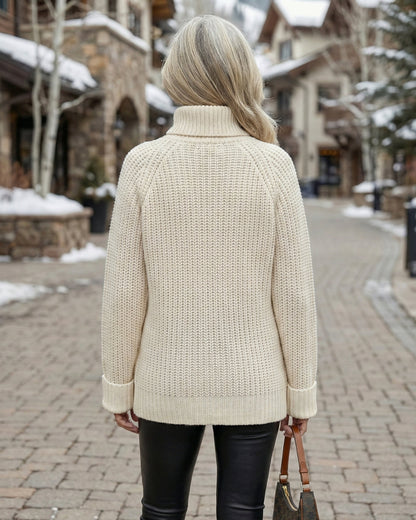 Shaker Knit Turtleneck