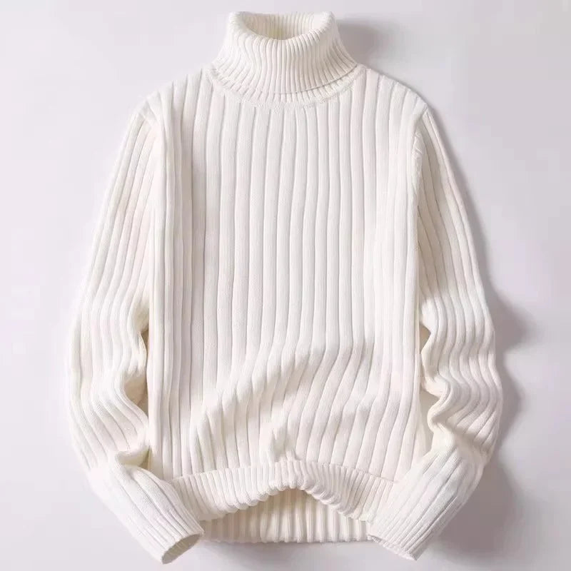 Verrin Ribbed Turtleneck
