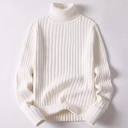 Verrin Ribbed Turtleneck