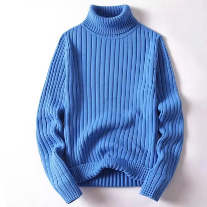 Verrin Ribbed Turtleneck